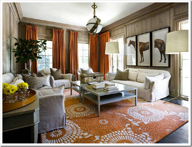 Attention on Area Rugs